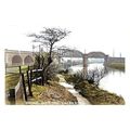ptc7192 - Yorks - Earlsheaton, Calderside, Lane...