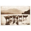 1911 Greetings postcard - Bright & Happy Birthday
