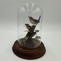 Wood House Wren Bird Signed By Artist William B...