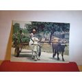 OX-CART, THE GAMBIA unused postcard by J Arthur...