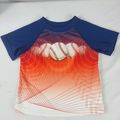 Healthtex Boys Toddler Short Sleeve Blue/White ...