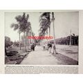 Buenos Aires, Street Scene And Mill Creek, Penn...