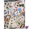 100 GRAMS 'SOUTH AFRICA SMALL AND DEFINITIVE KI...