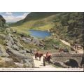 Eire Postcard - Gap Of Dunloe, Kerry, Ireland