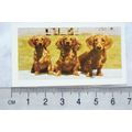 1961 Hornimans Tea Dogs No. 7 Dachshund long ha...