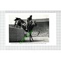 General Mariles Horse ARETE - 1950s Small Cutting
