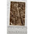 vintage Postcard Looking up Jacob's Ladder, Dev...