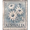 AUSTRALIA, FLOWERS, Flannel Flower, blue 1959, 2/-