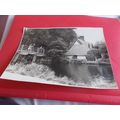 THATCHED COTTAGE (03/02)