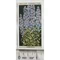 1925 Wills Flower Culture in Pots No. 12 Chimne...
