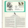 AMERICAN OWLS . Great Gray Owl ' OFFICIAL FIRST...