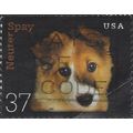 USA, DOG, Neuter Spay, black 2002, 37c