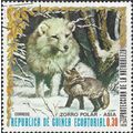 EQUATORIAL GUINEA, MAMMAL, Arctic Fox, white & ...