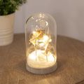 Sea Shell Glass Dome Ornament LED Light 17 CM G...