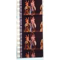 AEROSMITH. Pk MTP - A047u. 1 STRIP OF 5 - 35MM ...