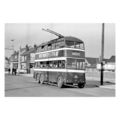 pt9565 - Doncaster Trolleybus , Sandford Road ,...