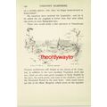 Martyr Worthy, Hampshire, Book Illustration (Pr...