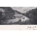ED 132 WELLINGTON - FOREST GLEN. PRINTED POSTCA...