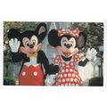 Mickey Mouse & Minnie Postcard Walt Disney World