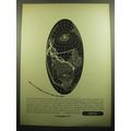 1957 Qantas Airlines Ad - Qantas in a transverse elliptical equal-area world