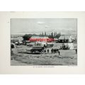 Up Country Dutch Settlement, South Africa, Book...