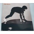 Joan Armatrading - Track record 1983 13 track v...