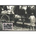 CANVEY ISLAND LOCAL POST 2025 - Laundry Deliver...