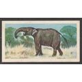 Brooke Bond Tea Card's Prehistoric Animals . De...