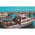 San Diego - Lot of 4 - Postcards & Stamps - Vin...