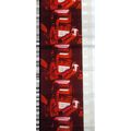EARTH WIND & FIRE. Pk MTP - a002B. 1 STRIP OF 5...
