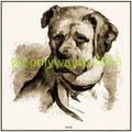 Rab (famous Victorian Dog),1899, MODERN REPRODU...