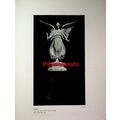 Peace, War Memorial Durban, Book Illustration (...