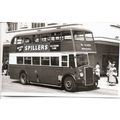 Black & White Photograph of Plymouth Corporatio...