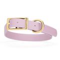 Dog Pet Collar with Brass Hardware Size XL W 1”...