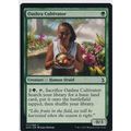 Magic the Gathering MTG Amonkhet 177/269 Oashra...