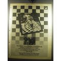 1975 Thee Image Album Ad - Mike Pinera. Duane H...