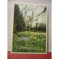 SPRINGTIME, CLARE COLLEGE, CAMBRIDGE used postc...