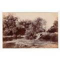 Hayes Common Bromley Postcard RP Kent