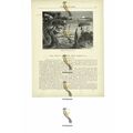 Sioux Indian Cemetery, USA, Book Illustration (...