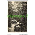 BY TORRENT WALK, DOLGELLEY, WALES, 1934, Postcard