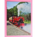Lakeside & Haverthwaite Barclay 0-4-0ST David, ...