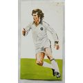 1978 Golden Wonder Soccer All Stars 23 Joseph J...