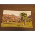 J.Salmon Postcard -Gelert's Grave Beddgelert, S...