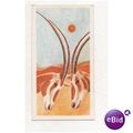 Vintage 1978 Brooke Bond Tea card Vanishing Wil...