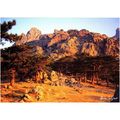 Colour Photo Postcard - Col de Bavella, Corsica...