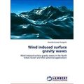 Wind induced surface gravity waves