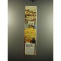 1969 Golden Grain Rice-a-Roni Ad - Fisherman's Wharf Jambalaya starts with