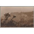 Early Spring, Hastings, Sussex, c.1908 - Judges...