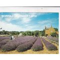 Heacham Norfolk Lavender Farm Postcard posted 1...