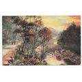 Borrowdale Birches Cumbria S Hildesheimer Art P...
